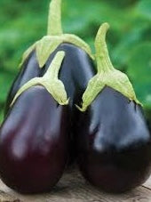 PATIO COLLECTION Eggplant