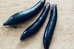 Eggplant