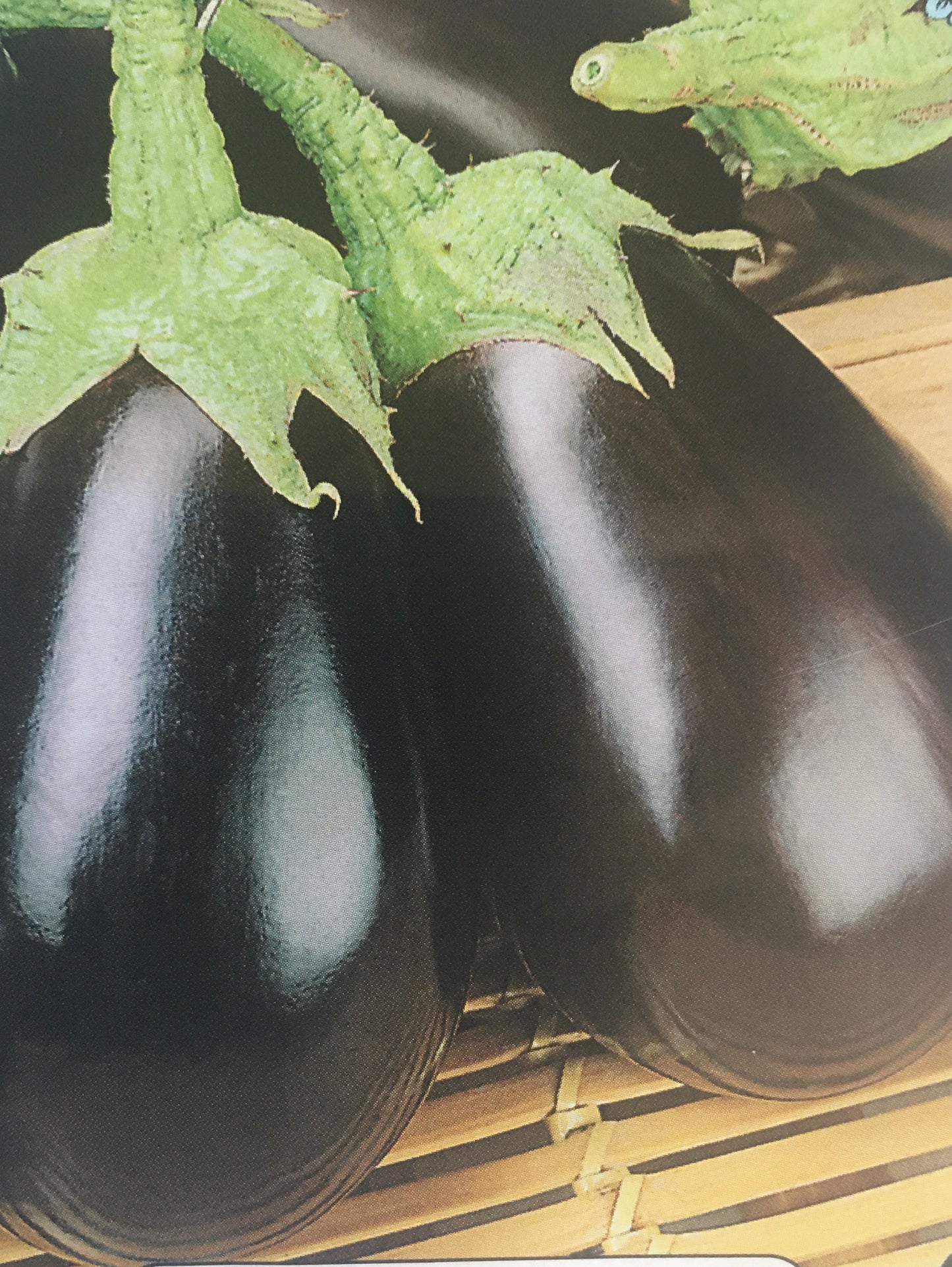 Eggplant