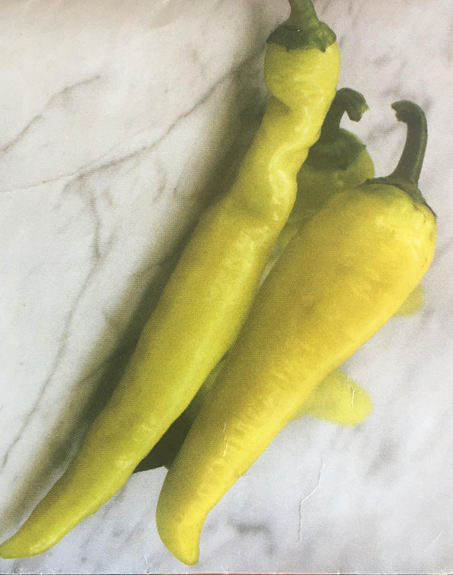 Pepper Seedlings - HOT