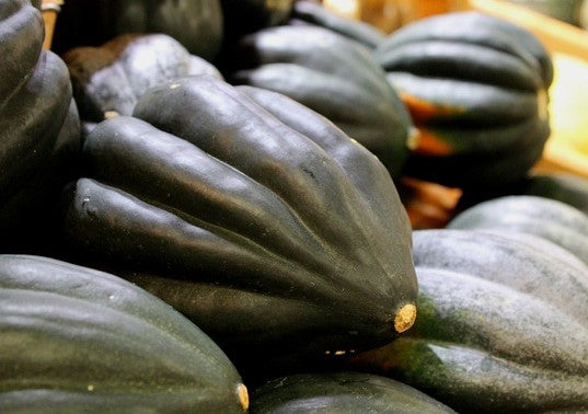 Winter Squash