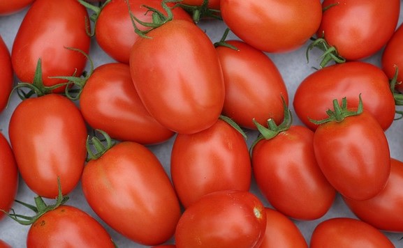 Standard Garden Tomatoes